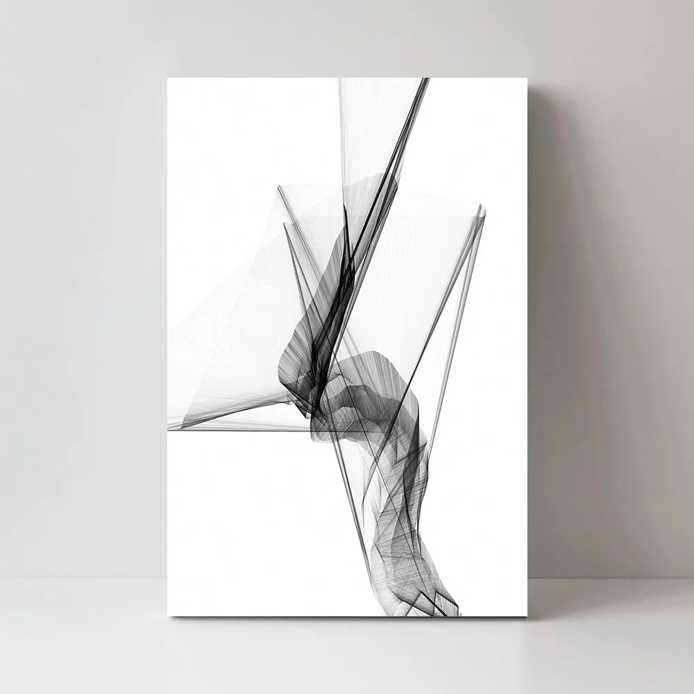 Aerial Silk, Black And White Art, Style B