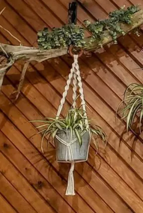 Macramé plant hanger by Knotty Boho